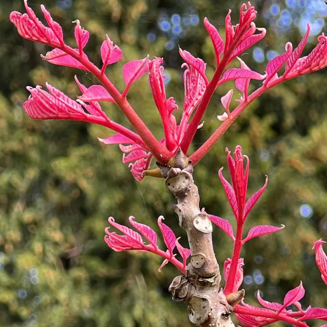 Image représentant le cours: VIDA por VIDA